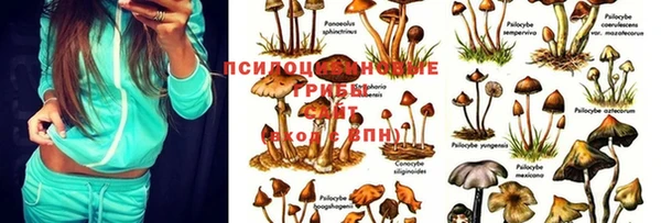 скорость Бронницы