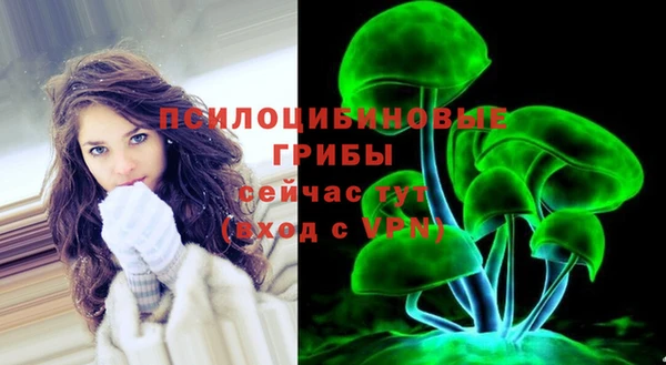 прущие крисы Бугульма